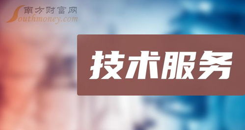 2024年技術(shù)服務(wù)概念上市公司大盤(pán)點(diǎn)